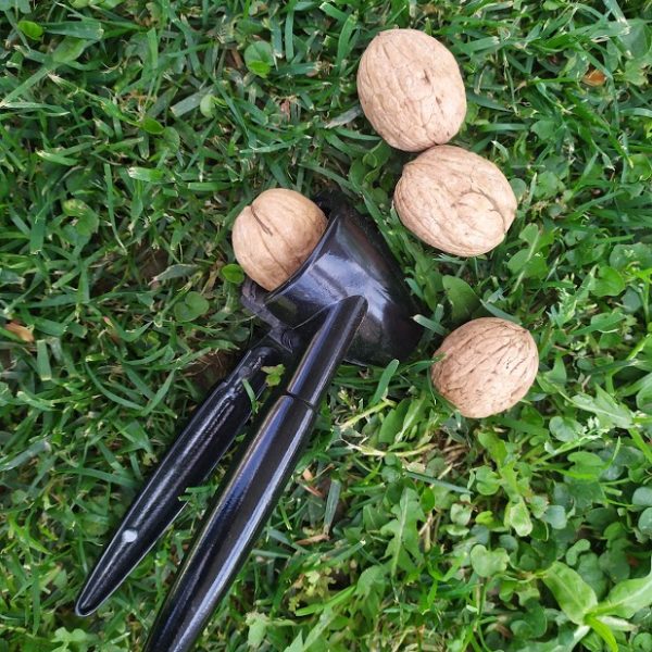 walnuts